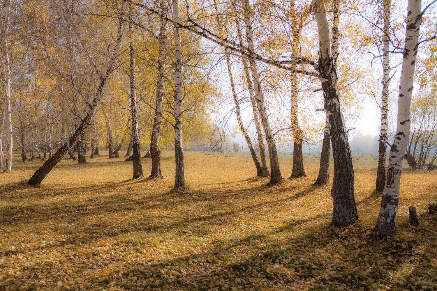 , Николай Морский