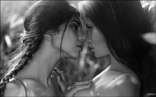 Counter Love ©