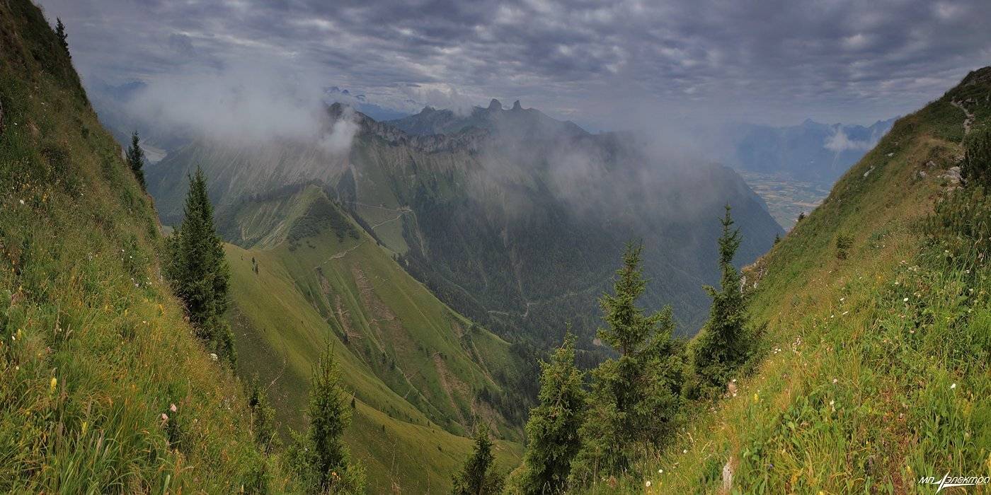 , Матвеев Николай