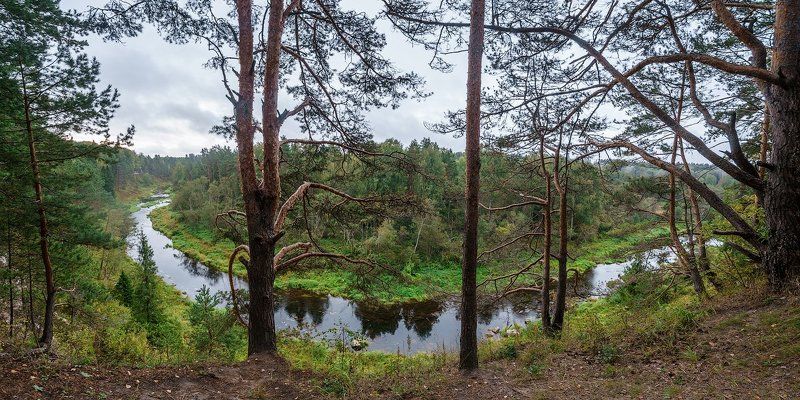 Держа ржев мозгово елец скала скалы сосны холм река Река Держа в Тверской области  фото превью
