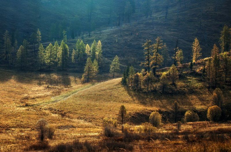 Восточный Казахстан фото превью