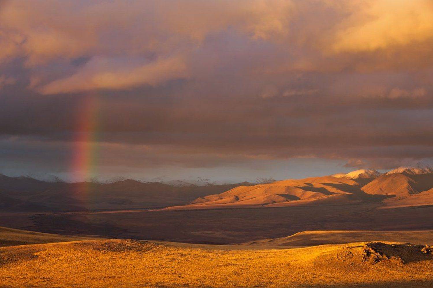 , Юрий Сорокин