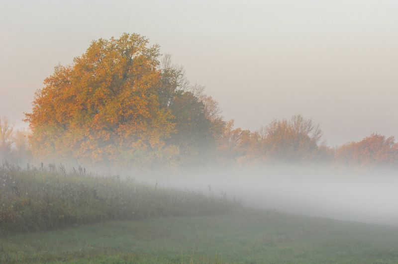abstract; autumn; background; beautiful; beauty; blue; branch; bright; colorful; countryside; day; environment; fall; fog; foliage; forest; fresh; golden; grass; green; landscape; leaf; leaves; light; lush; morning; mountain; natural; nature; orange; outd И мглой волнистою покрыты небеса, И редкий солнца луч, и первые морозы, И отдаленные седой зимы угрозы. фото превью