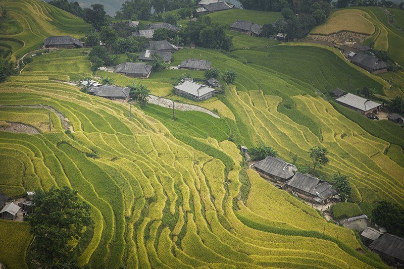 Vietnam village фото превью