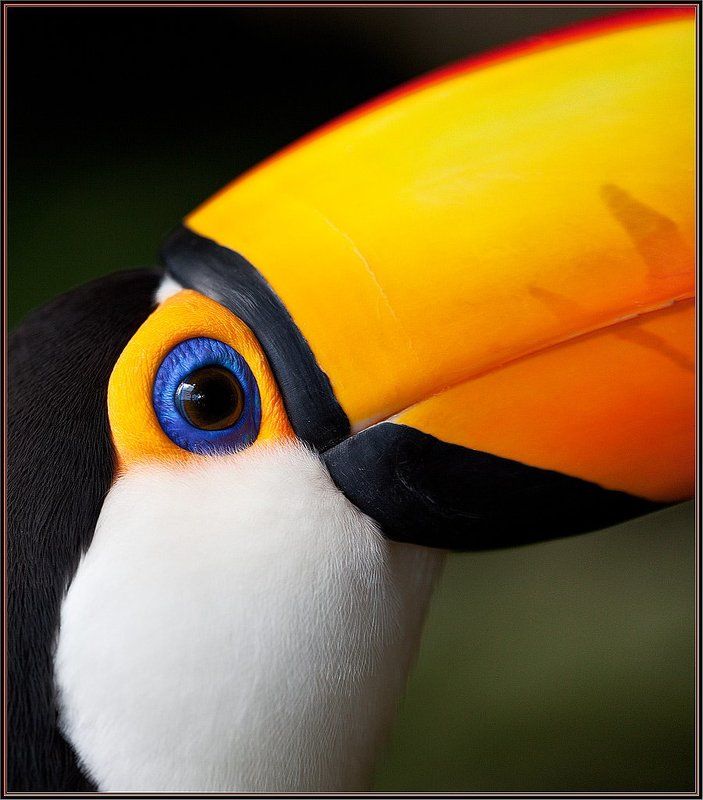 Цветная жизнь :) фото превью