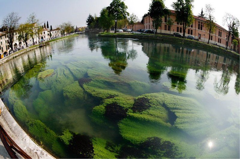 Вешние воды фото превью