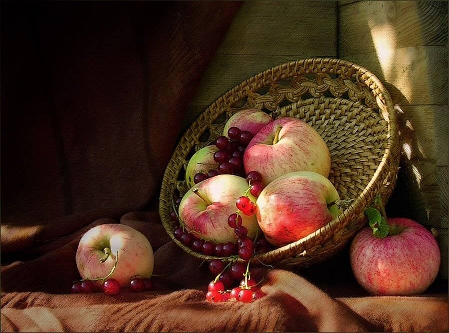 натюрморт, яблоки, смотродина, лето, Ольга Хлуднева