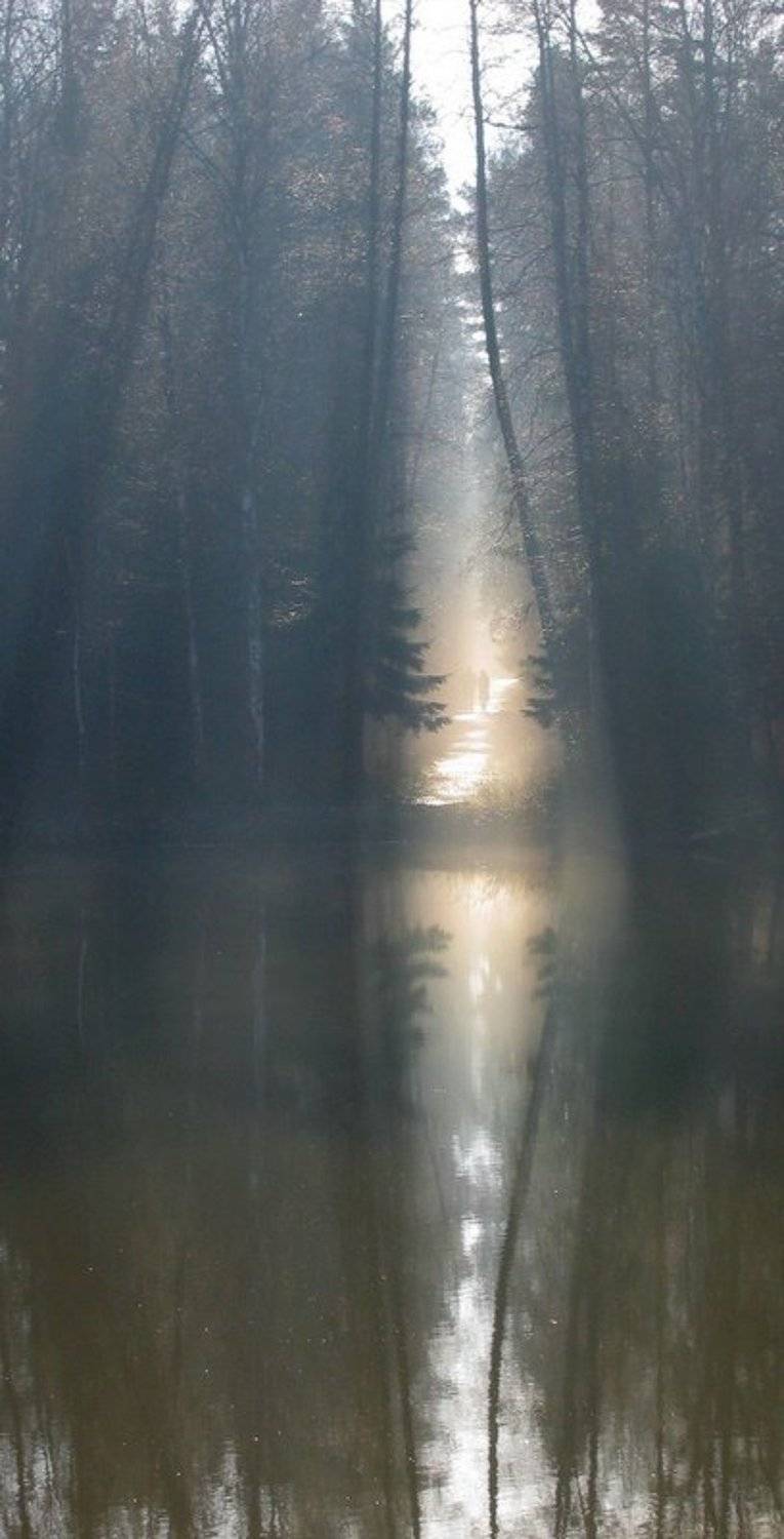 утро, туман, отражение, свидание, Света и Вася