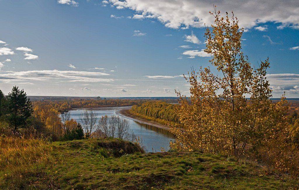 осень, Kuchkai_murza