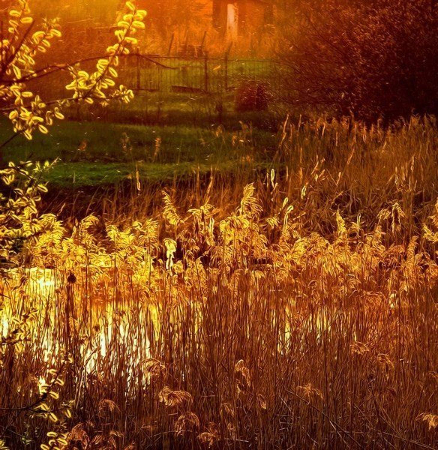 eddimar, пейзаж, Koroleva Marina