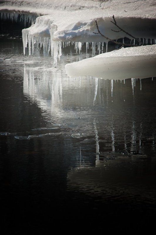 весенний этюд фото превью