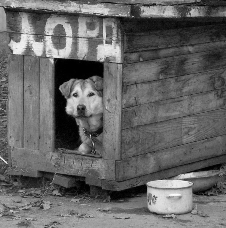 Палата лордов фото превью