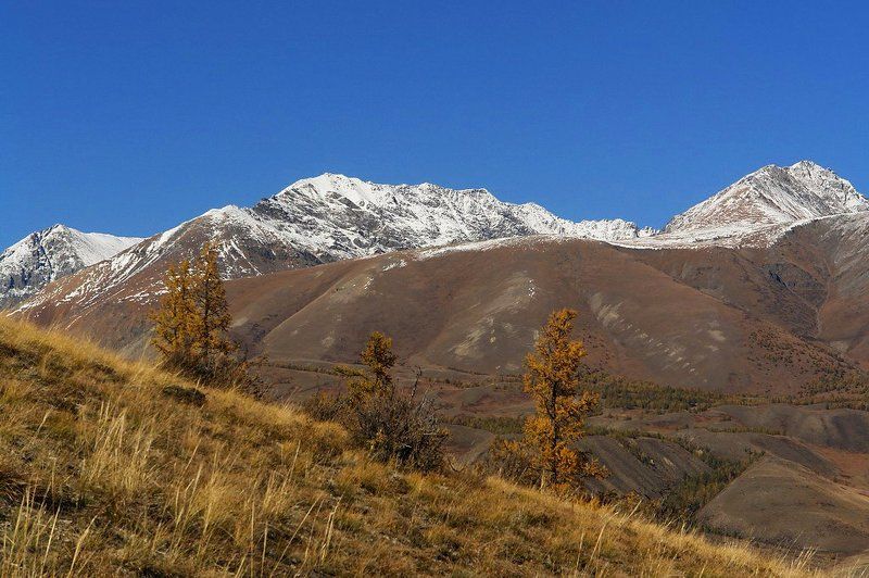 горный, алтай, осень, горы \