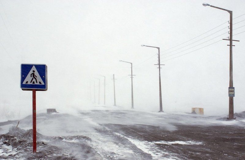 метель фото превью