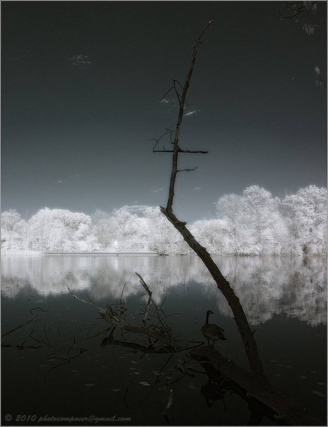 пейзаж, pilgrim, инфракрасный, infrared, Pilgrim