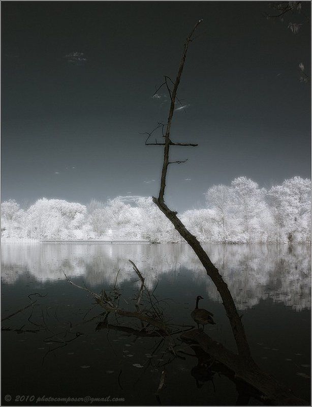 пейзаж, pilgrim, инфракрасный, infrared Emigration... фото превью