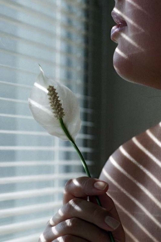 Весна фото превью