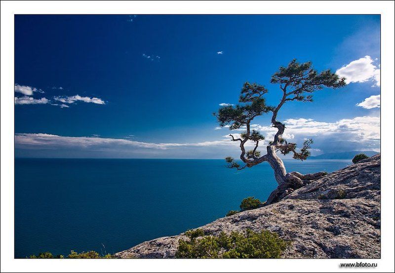 море, крым, лето Синее синее море фото превью