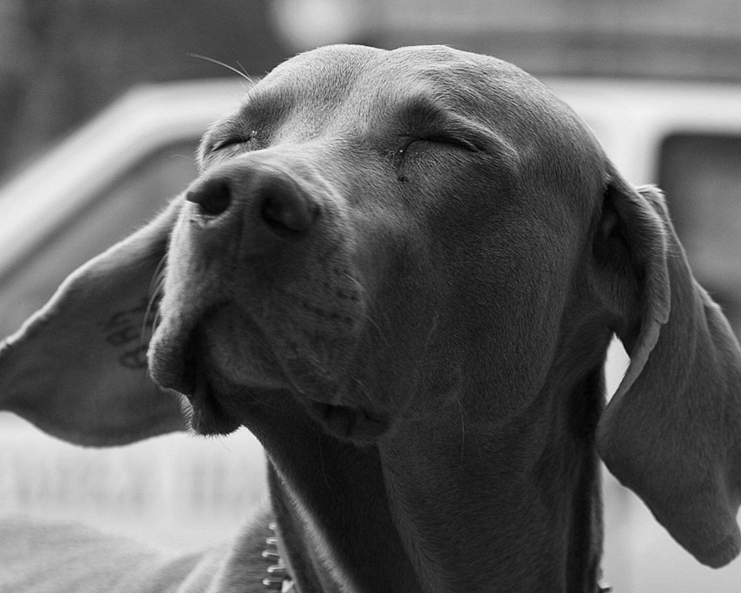 , Виталий Мазурин