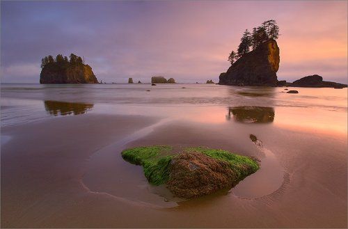 Lost World