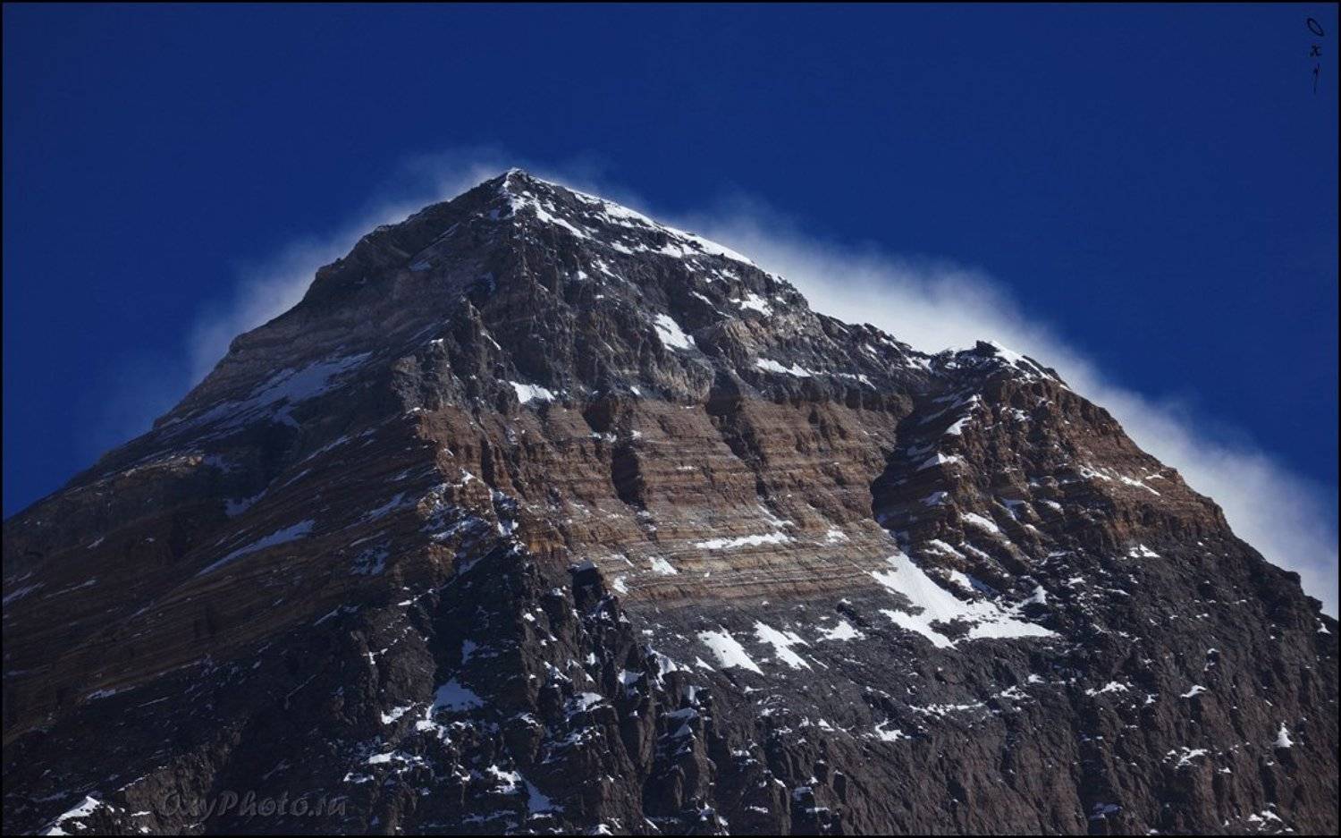 , Оксана Борц