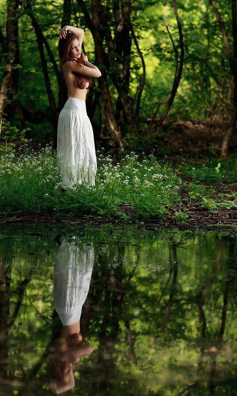 лесные... фото превью