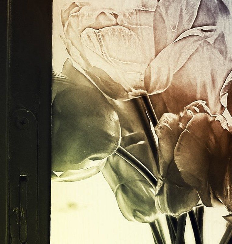 ......весенние зарисовки........ фото превью