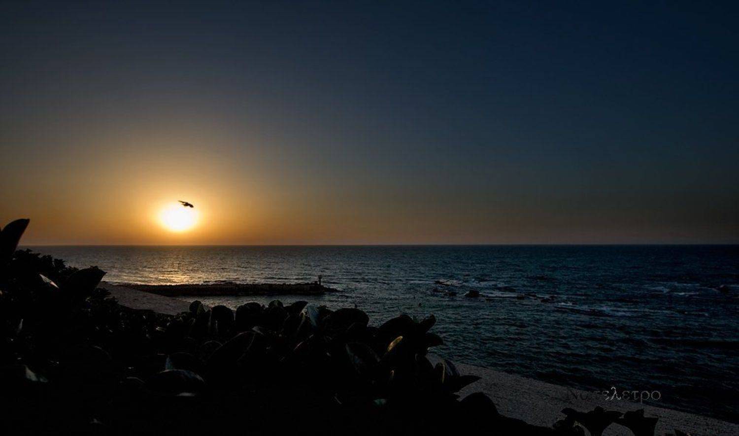 яффо, море, закат, Nateletro