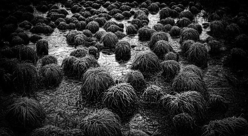 вновь бреду по бездорожью... фото превью