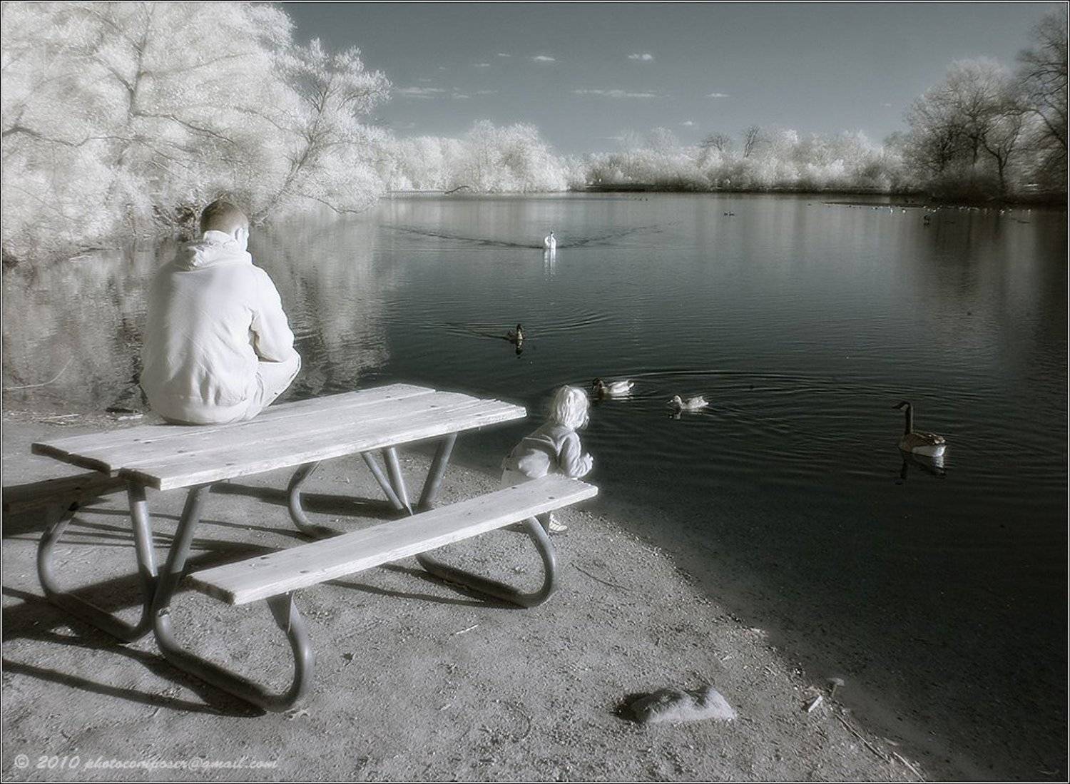 пейзаж, pilgrim, инфракрасный, infrared, Pilgrim