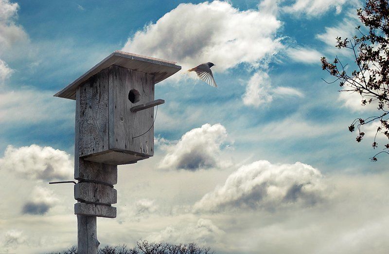 away from home фото превью