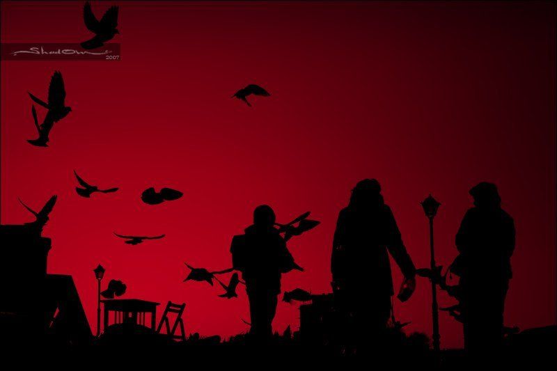 shd, www.shad0w.ru, x-shad0w.livejournal.com, 18-55 impression фото превью