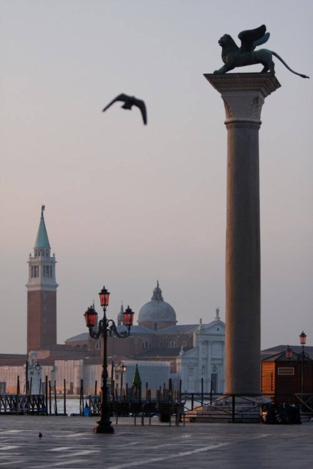 италия, сан марко, венеция, лев, Alexey Elkin