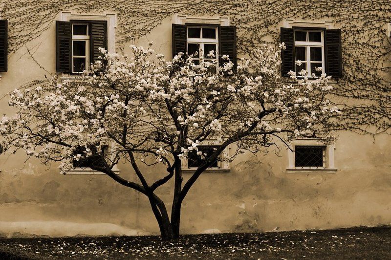 италия Этюд фото превью