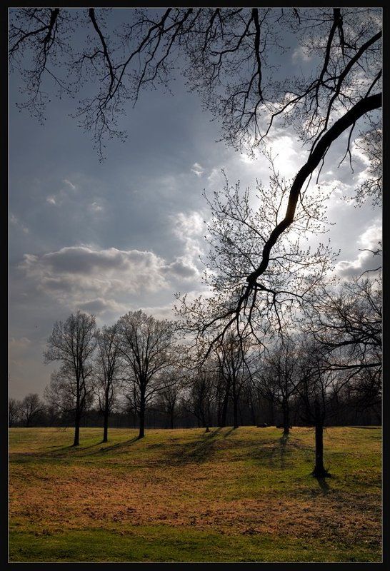 весна, пейзаж, май, природа, солнце, d5000 Переменная облачность фото превью