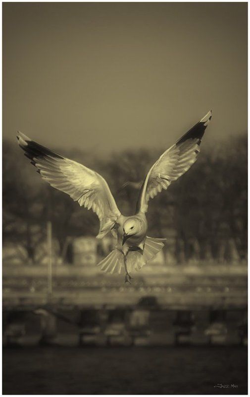 Душа фото превью