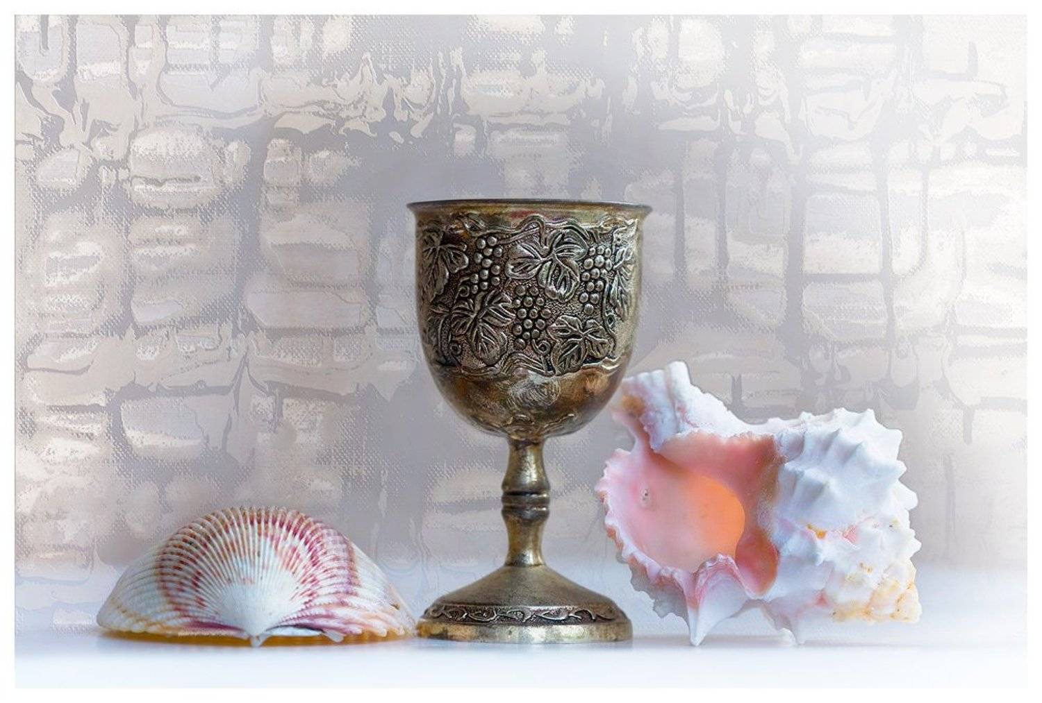 кубок, ракушки, tolyan139