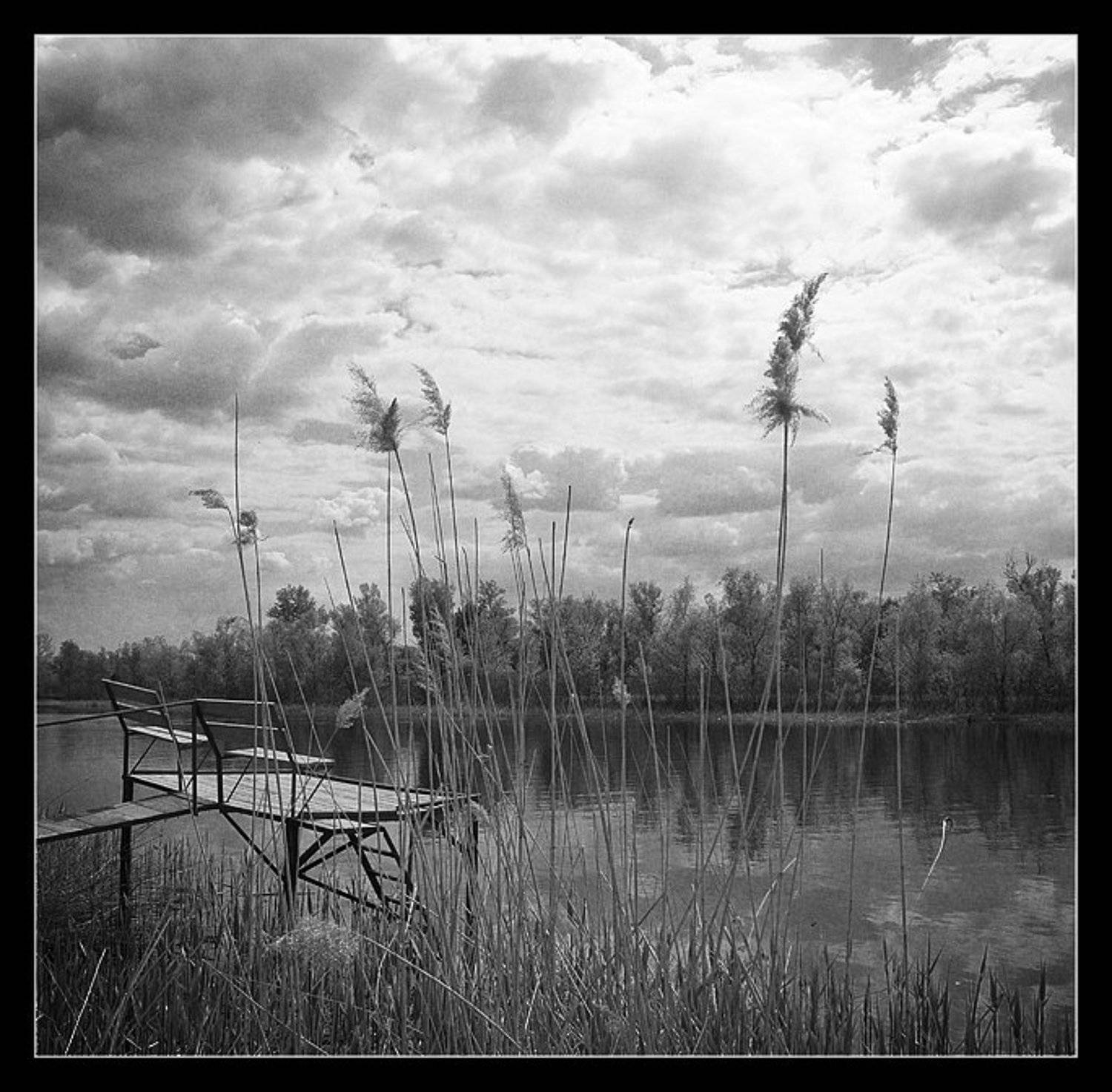 , Андрей Кобыща