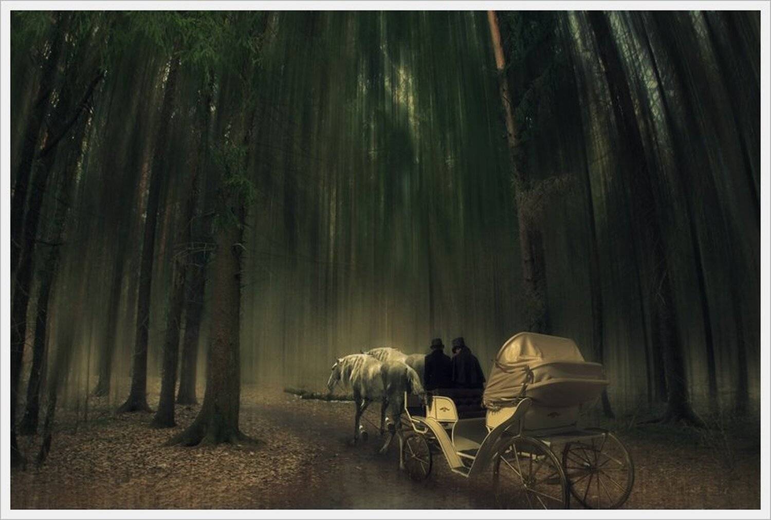 карета, лес, 2 дня, фотошоп, коллаж, цвет, лошадь, Merkul aware