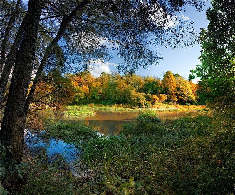 Начало фото превью