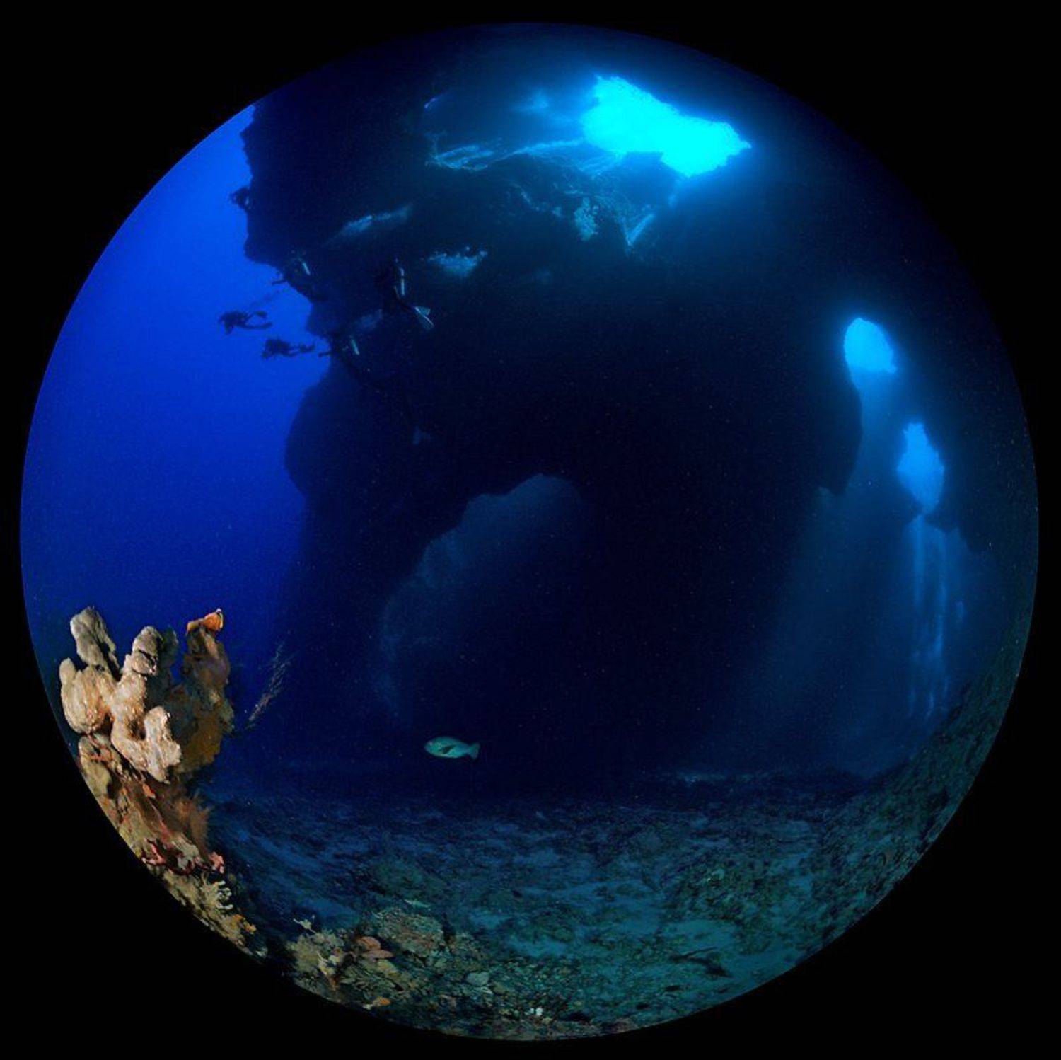 циркуляр, Сергей Шанин