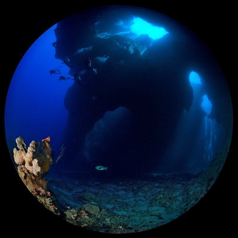 циркуляр Блюхол Палау #2 фото превью