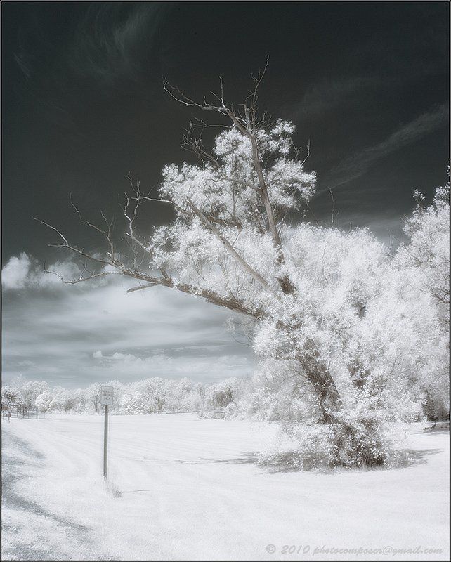 пейзаж, pilgrim, инфракрасный, infrared Farewell (Infrared Edition) фото превью