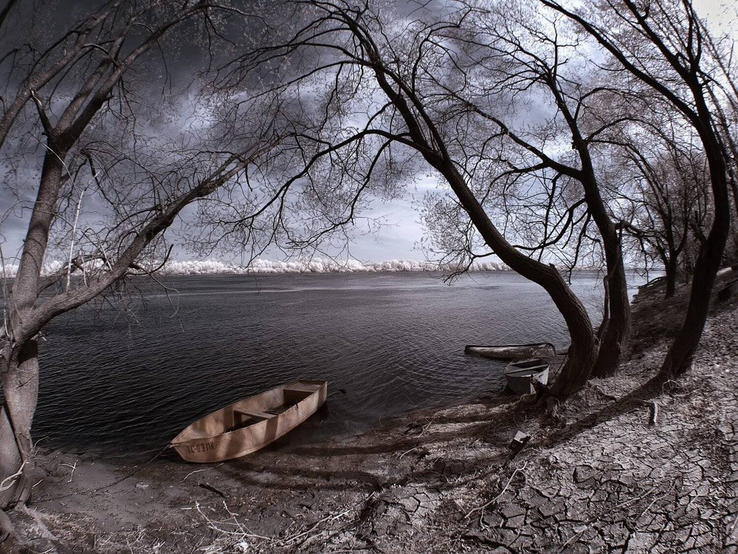 , Максим Евдокимов