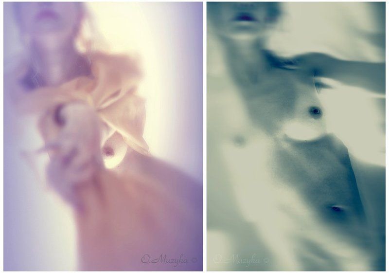 &|& фото превью