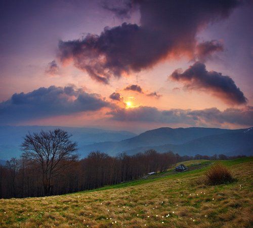 Рассветная