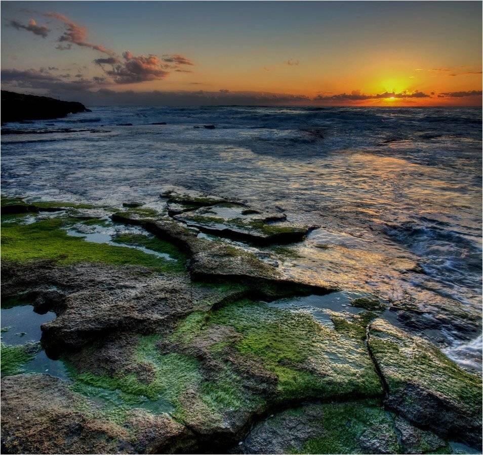 , Александр Беляев