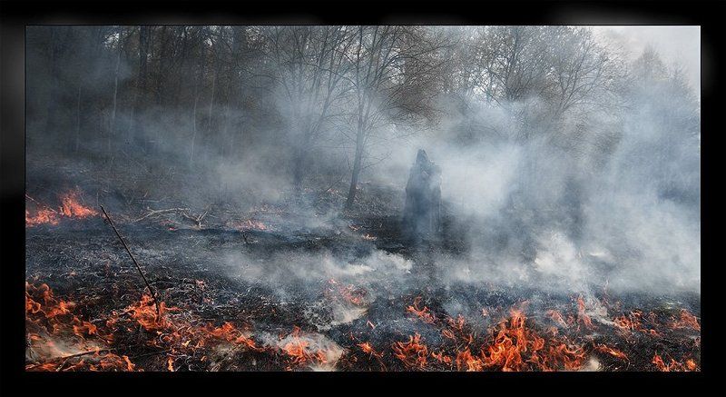 *** фото превью