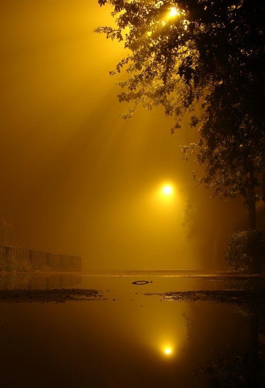 3 солнца фото превью