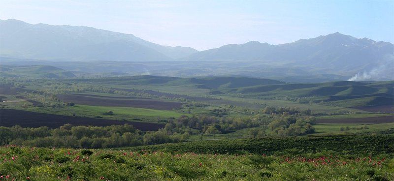 Тарбагатайские горы (Казахстан) фото превью